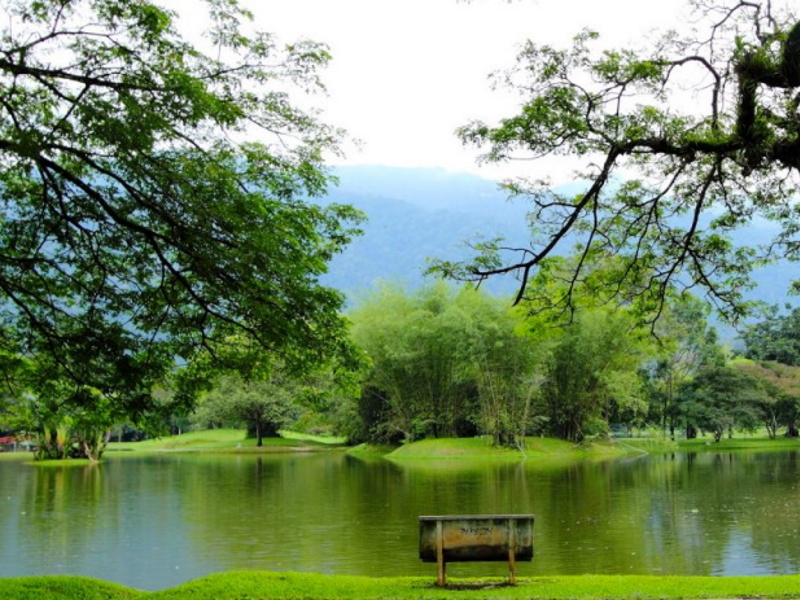 太平湖 濱公園